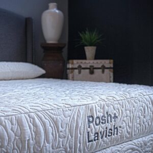 Posh & Lavish Providence