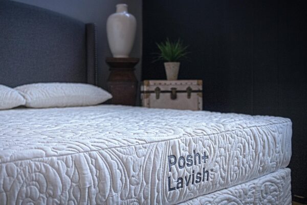 Posh & Lavish Providence