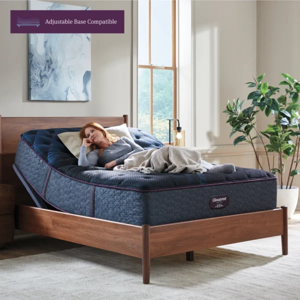 Beautyrest Worldclass Level 3 Extra Firm - Image 2