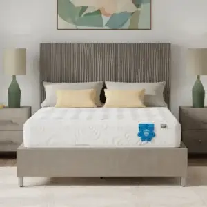 Mattresses 5 PranaSleep Asha Luxe