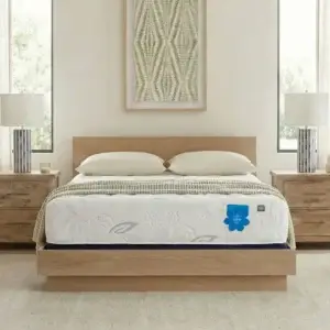 Mattresses 6 PranaSleep Asha Luxe Pro