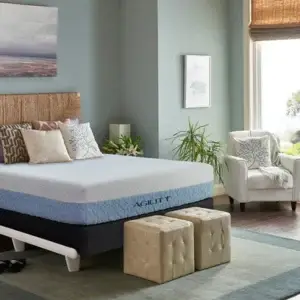 Therapedic Foundation