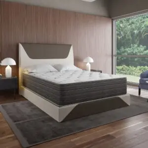 Dream Flex - 13.5" Two Sided Plush Mattress